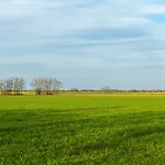 La Cepedana- Con Jardin Privado Casa di campagna *