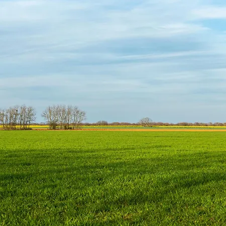 Descubre La Cepedana: Con Encanto En Cogorderos, A Solo 10 Km De Astorga Country house *
